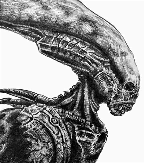 Alien Xenomorph Drawing Easy 的图像结果