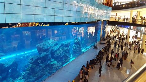 أكواريوم دبي مول: اسعار التذاكر - اوقات العمل - الأنشطة
