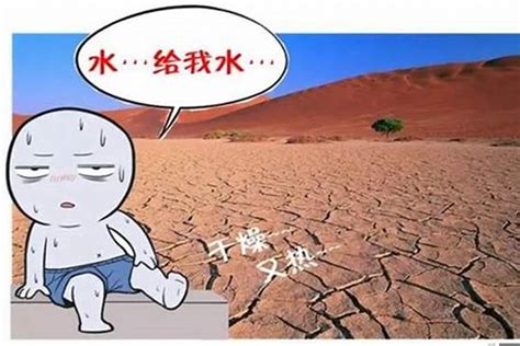 我国至少400座城市缺水|旱灾|世界水日|中国水周_新浪新闻
