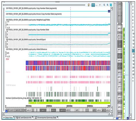 Image result for Copy Number Variation by SNP Array