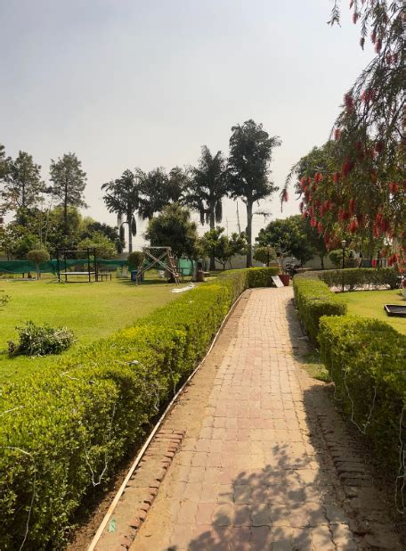 Farmhouse 2595, Manesar, Gurgaon