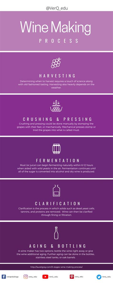 Wine Making Process 的图像结果
