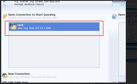 Loading a SQL Database in Workbench 的图像结果