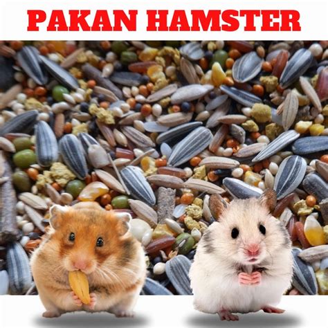 Xnxx Hamster Indo