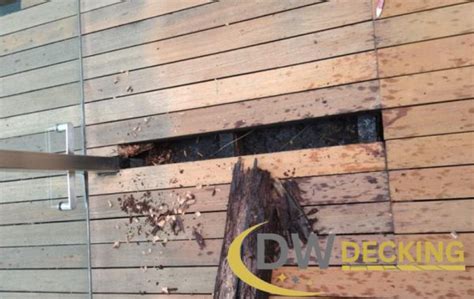 Image result for TimberTech Decking Problems