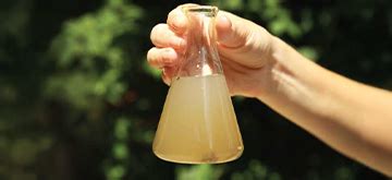 Water Pollution: Causes & Effects of Water Pollution - Eureka Forbes