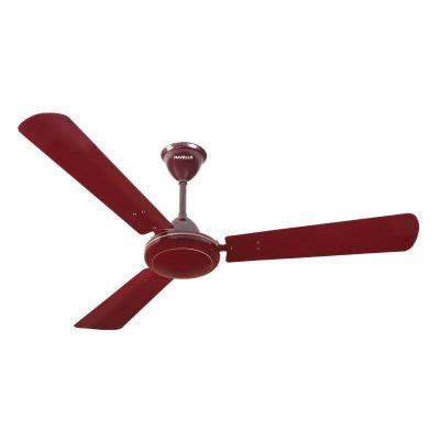Havells Ss 390 Brown Ceiling Fan Wholesale Price Online | iRely.in ...