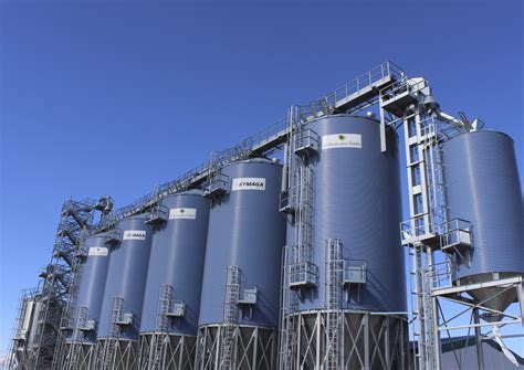 Almendras - El Bisabuelo Eladio