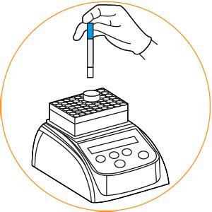 Image result for Aflatoxin Test