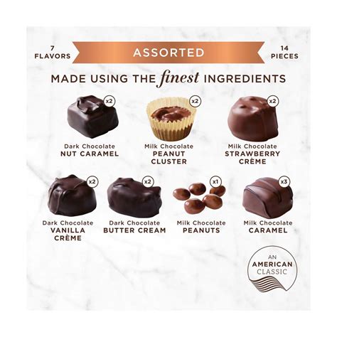 Buy Russell Stover Assorted Milk & Dark Chocolates, 8 oz - 14 pcs from ...