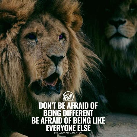 Top 999+ lion quotes images – Amazing Collection lion quotes images Full 4K