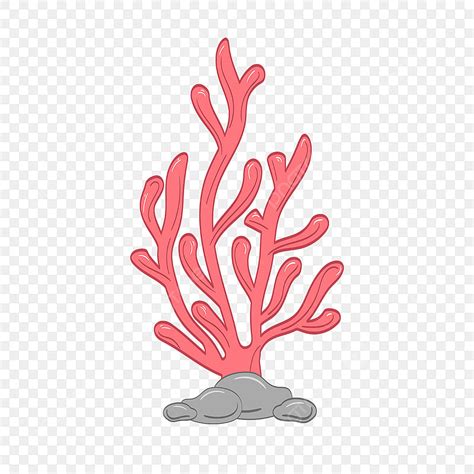 Ocean Coral Clip Art