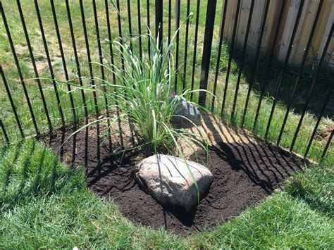 How to Mulch Beds 的图像结果