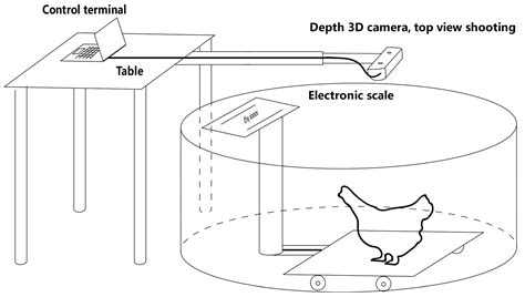 An Improved Method for Broiler Weight Estimation Integrating Multi ...