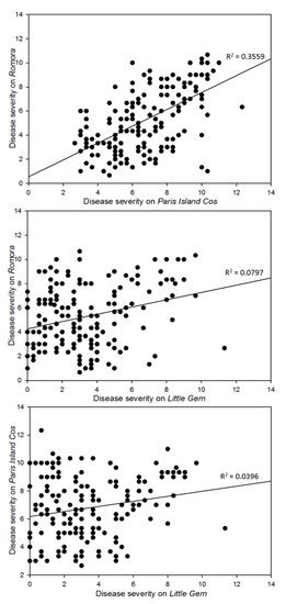 Genotypic and Phenotypic Characterization of Lettuce Bacterial Pathogen ...