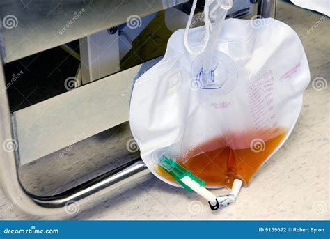 Foley Bag stock photo. Image of catheterization, medicine - 9159672