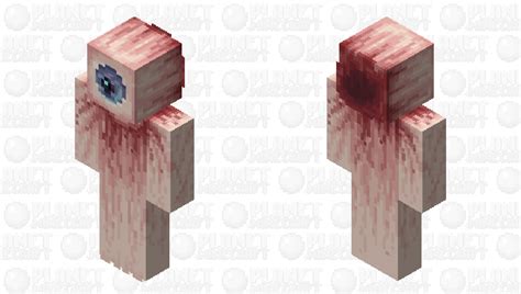 Image result for Fix Eye Minecraft