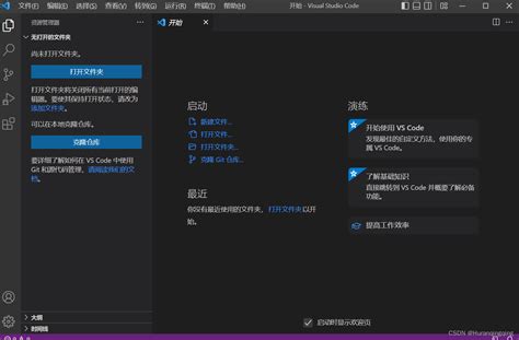 vs Code Downloader 的图像结果