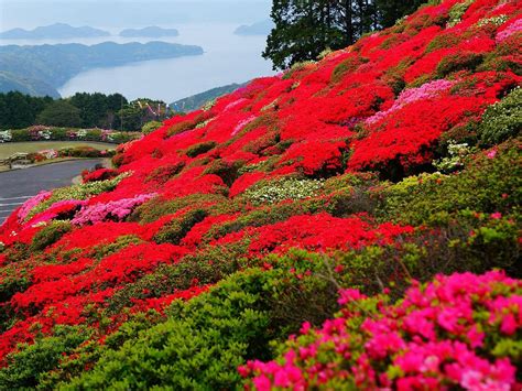 THE 30 BEST Places to Visit in Sasebo (2025) - Must-See Attractions