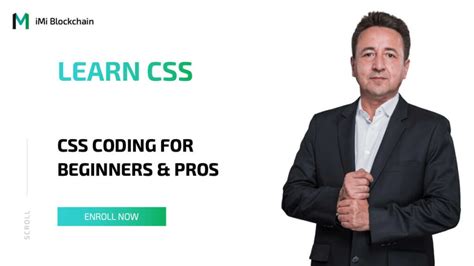 Image result for Learn Code CSS