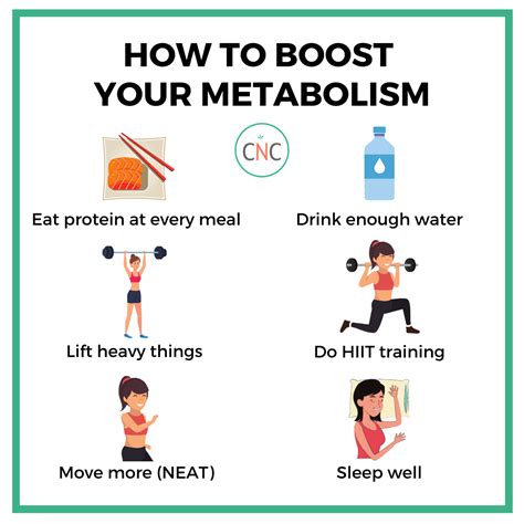 How to Increase Your Metabolism - My Emerald Health