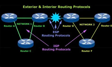 Types of Link State Protocols 的图像结果