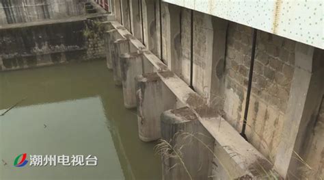 潮州文祠水受污染河段已经恢复正常水质_新浪广东_新浪网