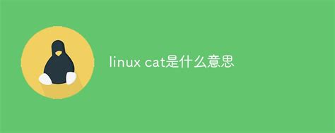【雪人翻译软件(CAT)】雪人翻译软件-ZOL下载