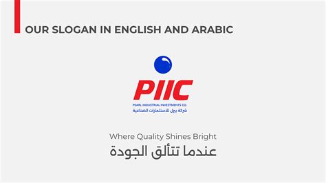 Image result for Project Intrface Piic