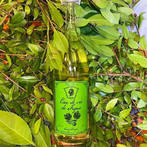 Commandez notre Eau de Vie de Figue - CASA ANGELI chez LA MAISON DE ...