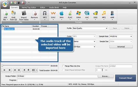 Image result for Remove Sound From MP4 Video Using AVS