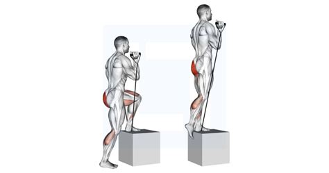 Image result for Lateral Step Up Exercise