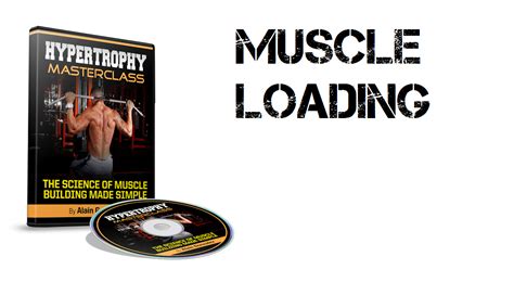 Image result for Gradual Loading On Muscle