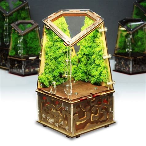 Купить Вертикальная муравьиная ферма «Flora Plus» по цене 2900 грн с ...