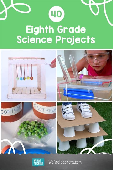 Image result for Science Class 8 Projects