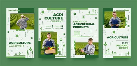 Flat design agriculture company instagram stories | Premium Vector
