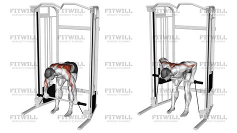 Image result for Cable Machine Bent Over Row