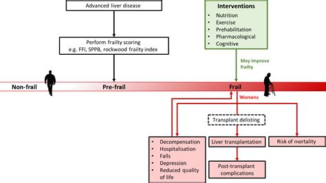 Frailty in advanced liver disease - Laube - 2018 - Liver International - Wiley Online Library