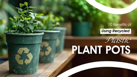 Eco-Conscious Gardening: Recycled Plastic Pots