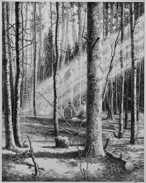 forest drawing shading