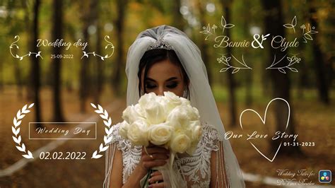 DaVinci Resolve Title Templates & Text Animations | Allavio