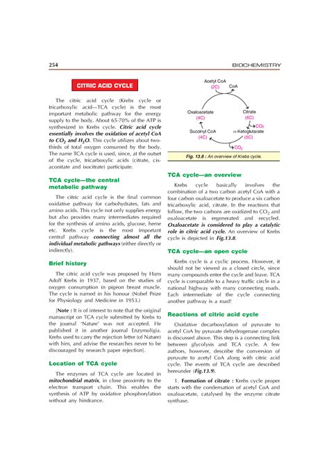 Citric ACID Cycle - notes on zoology University of the day of the day of the day of the day of ...