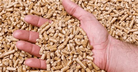 Making Pellets 的图像结果