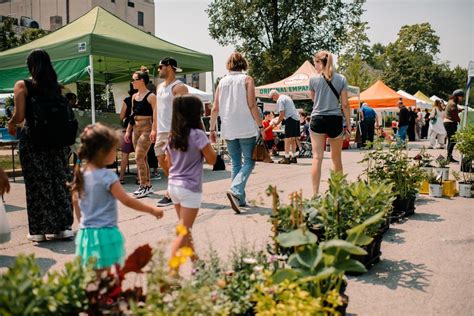Park Ridge Farmers Market (LAST DAY OF THE 2025 SEASON), 15 Prairie Ave ...