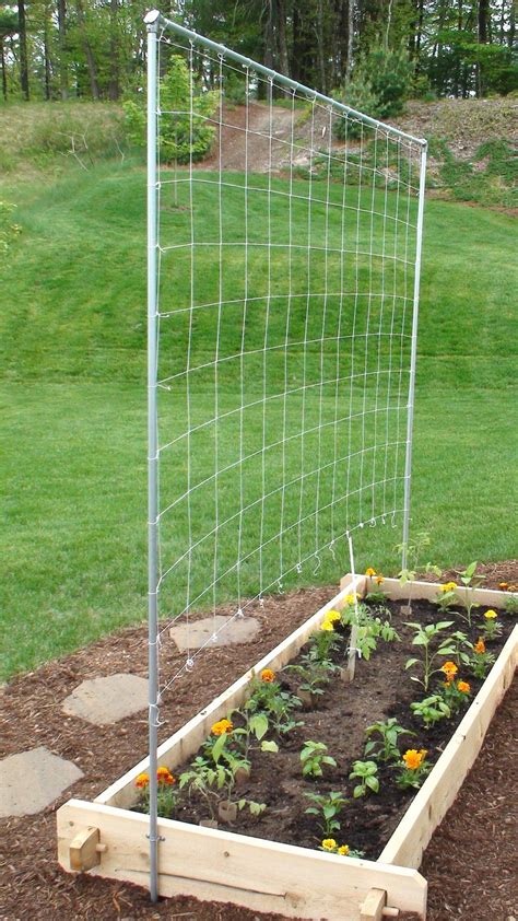 How to Build a Vertical Vegetable Garden | Tomato trellis, Vegetable ...