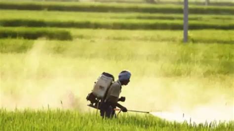 Market Trading Guide: Canara Bank among 4 stock recommendations for ...