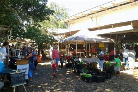 The Litchi Orchard, Durban