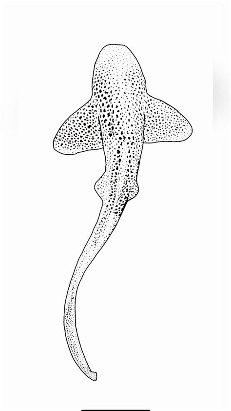 Whale shark tattoo drawing – Artofit