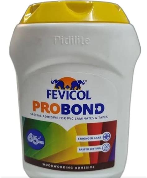 FEVICOL PRO BOND Multipurpose Adhesive, 1 kg – High Coverage and Strong ...