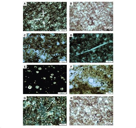 Image result for Quark Under Microscope